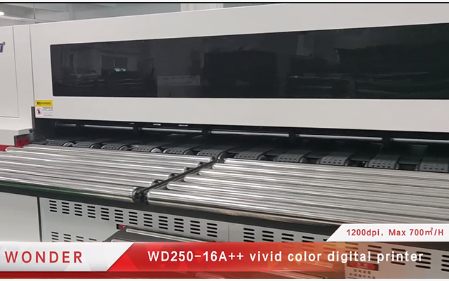 WD250-16A++ Multi pass vivid color printer